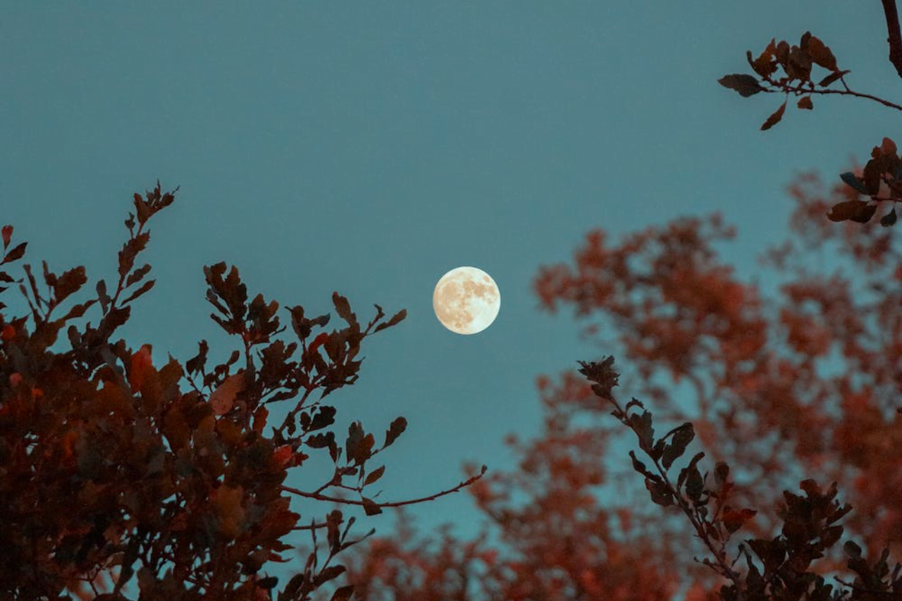 Fullmåne och sömn, en måne som lyser på mörk himmel