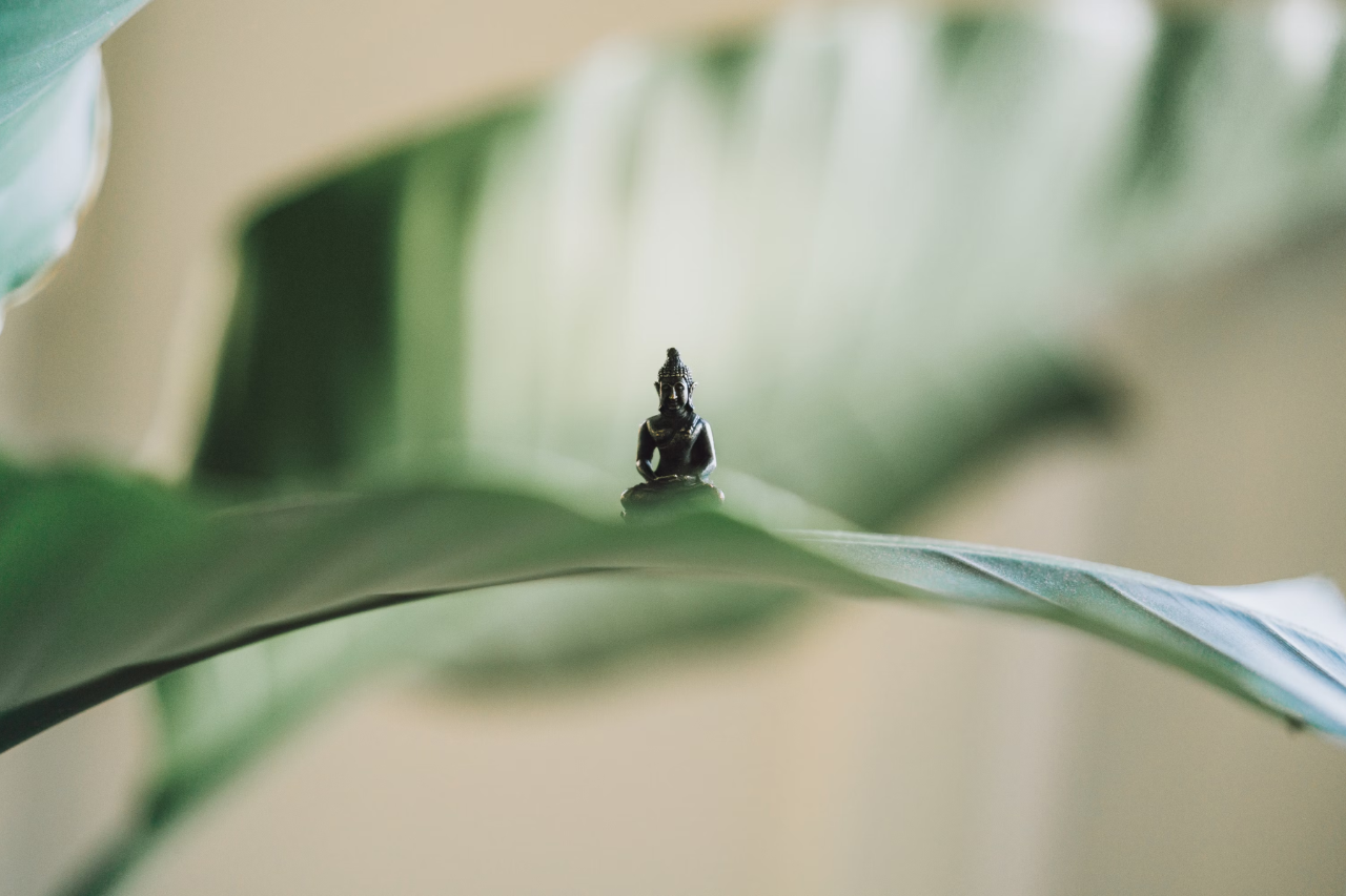 En liten Buddha på ett blad som symbol för andningso?vningar